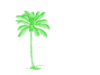 Green Palm Tree Image